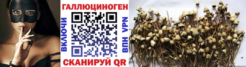 Галлюциногенные грибы ЛСД  купить наркотики сайты  Жуковка 
